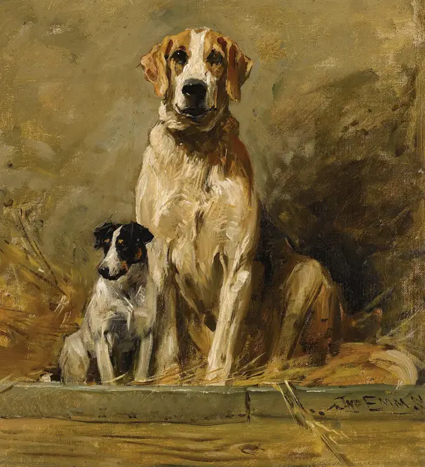 Hound And Terrier In A Kennel